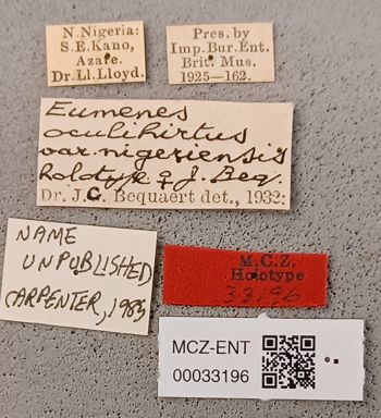 Media type: image;   Entomology 33196 Aspect: labels